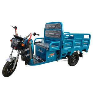 Import Best Two Wheel Electric Family Ebike Cargo Ebike Cargo Bike for Sale