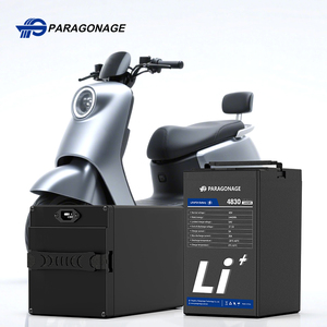 Paragonage Electric Motorcycle Scooter LiFePO4 Battery Pack