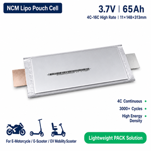 4C High Rate NMC Soft Pack Pouch Cell Battery GBT 65