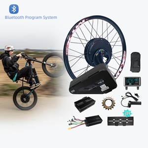 1500W 2000W 3000w Hub Motor Bike Kit Ebike With Lithium Battery Optional