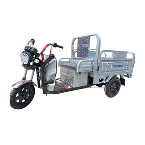 Hot Sale Heavy Load 3-Wheel Electric Motorcycle Cargo Tricycle Open Body 60v CE Certified High Payload Capacity