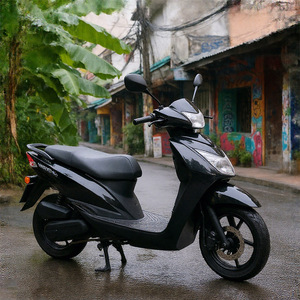CKD EEC 10inch Popular 2 Wheel Electric Motorcycle Moped 600/800W 50km/h