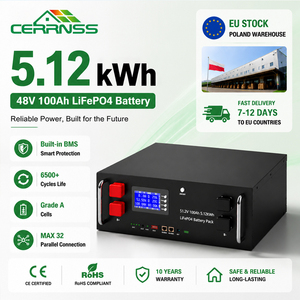51.2V Home Storage LiFePO4 Battery Module