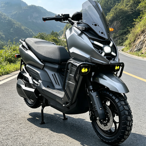 Heavy Duty Adult Electric Motorcycle 2000W